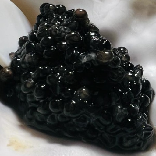 CAVIAR logo