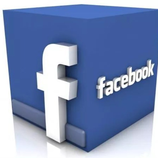 Facebooks Ad Pro logo