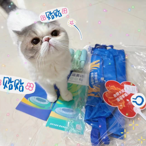 Cat Care Assistant logo