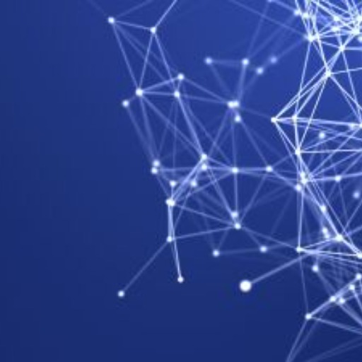 Case Studies in Information Law logo