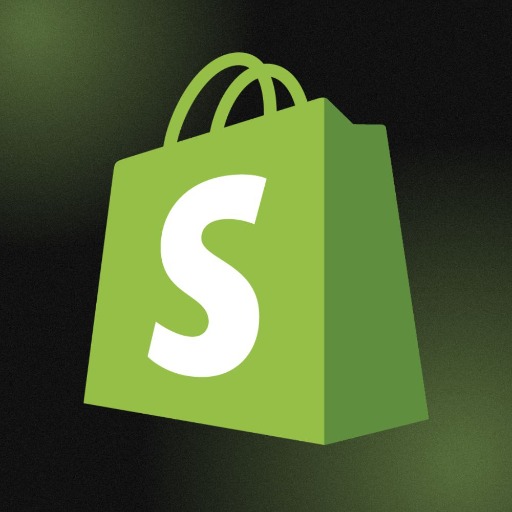 Ecommerce AI Website Advisor logo