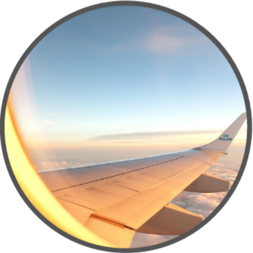 Flight Scout logo