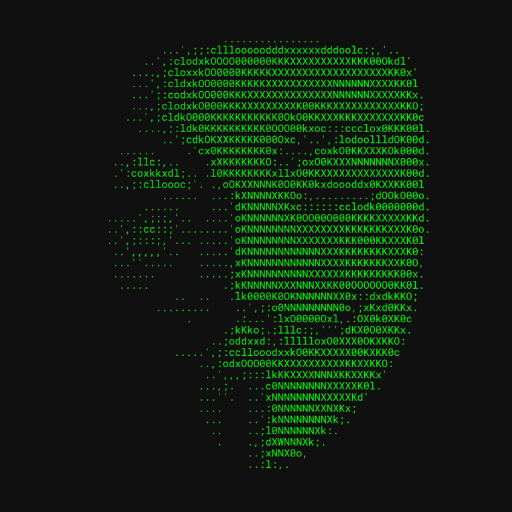 Satoshi logo