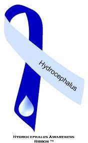 Hydro Helper logo