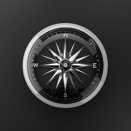 Niche Navigator logo