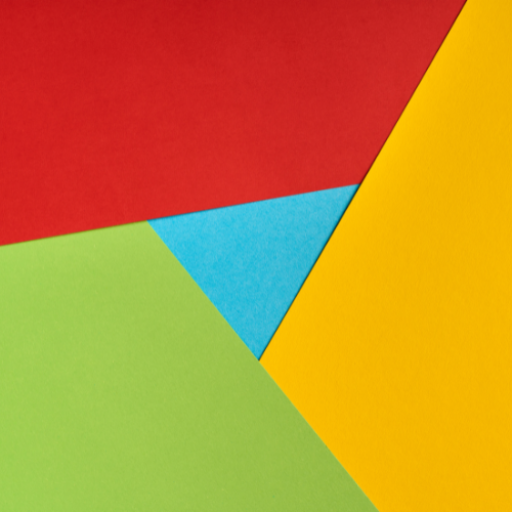 Chrome Plugin Developer logo