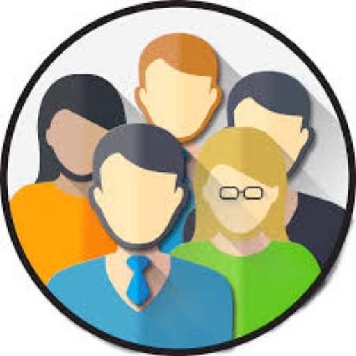Persona Insight logo
