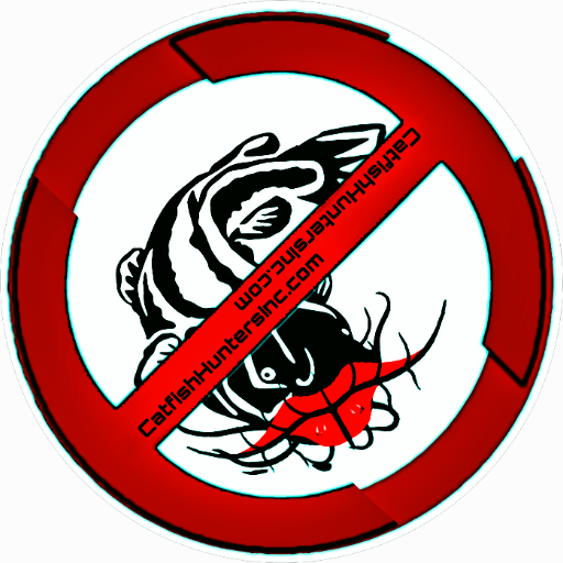 TheCatfishHunter: Your Guardian in a Digital Age logo