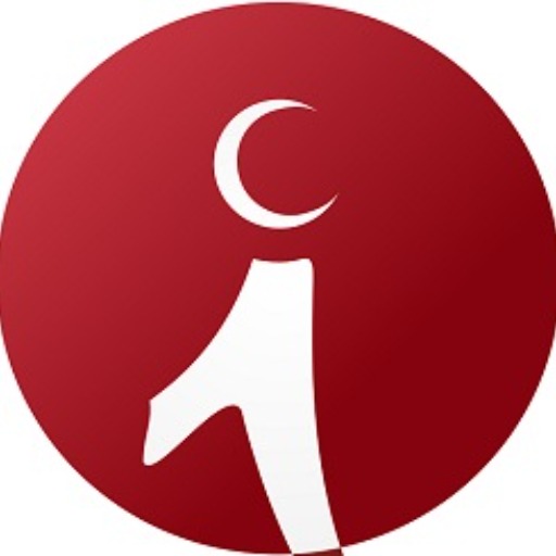 Info Festival logo