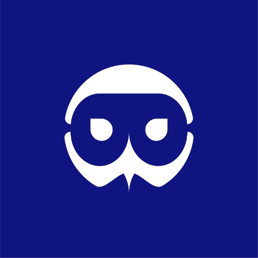 SEO Topical Authority by Brandwise logo