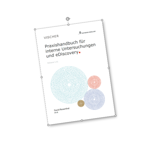 Interne Untersuchungen in der Schweiz logo