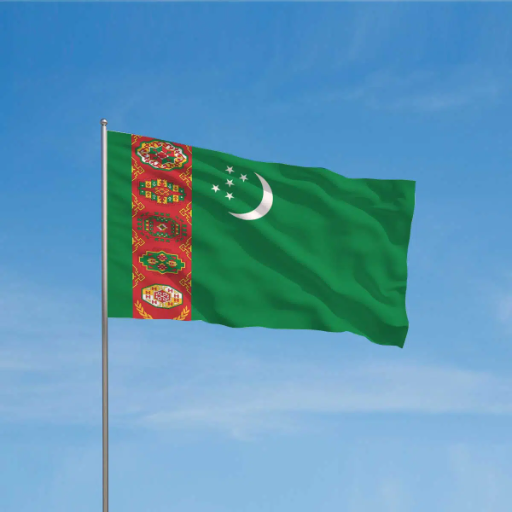 Turkmen Robot logo