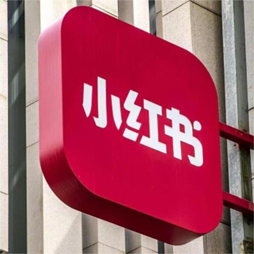 10W+爆款小红书 logo