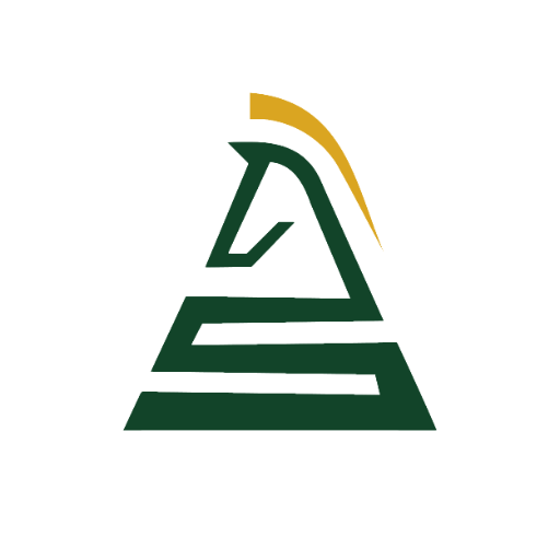 Roast my Chess account | ChessviaGPT logo