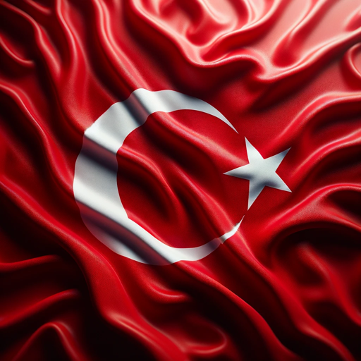 Instant Native Translator (English-Turkish) logo