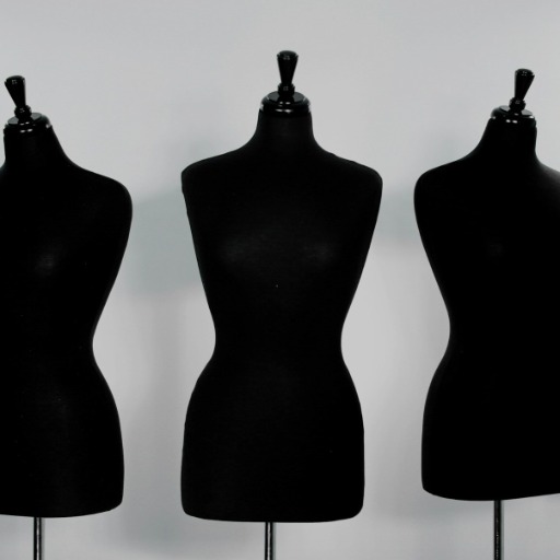 Style Savvy logo