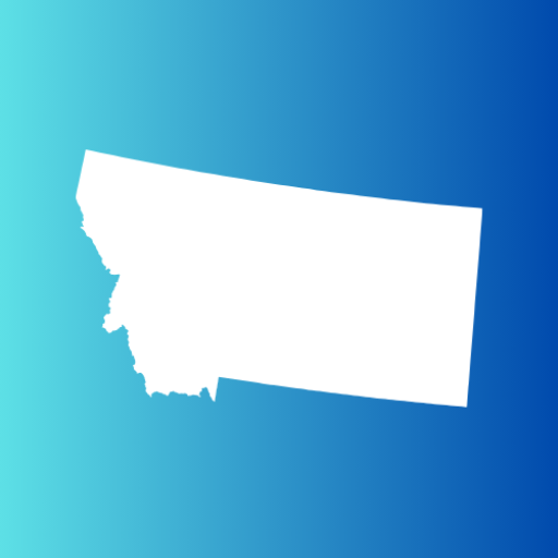 MT Real Estate Agent logo