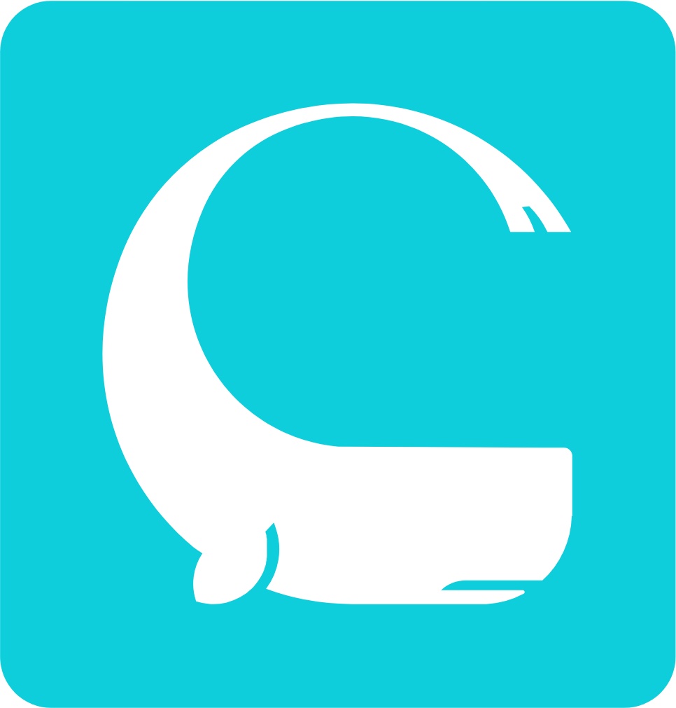 Cyber PMM logo