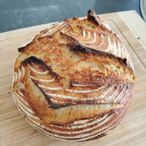 Dez the Mooonbread Sourdough Assistant logo