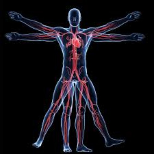 Minimally Anatomy Guru logo