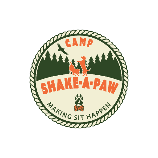 CSAP GPT logo