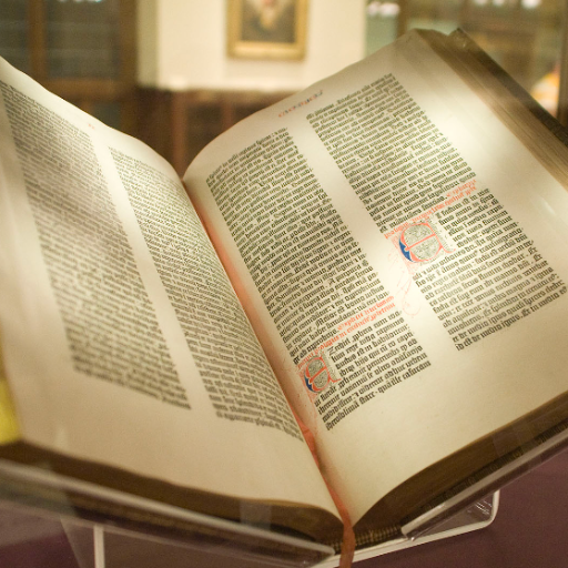 BookSummaries logo