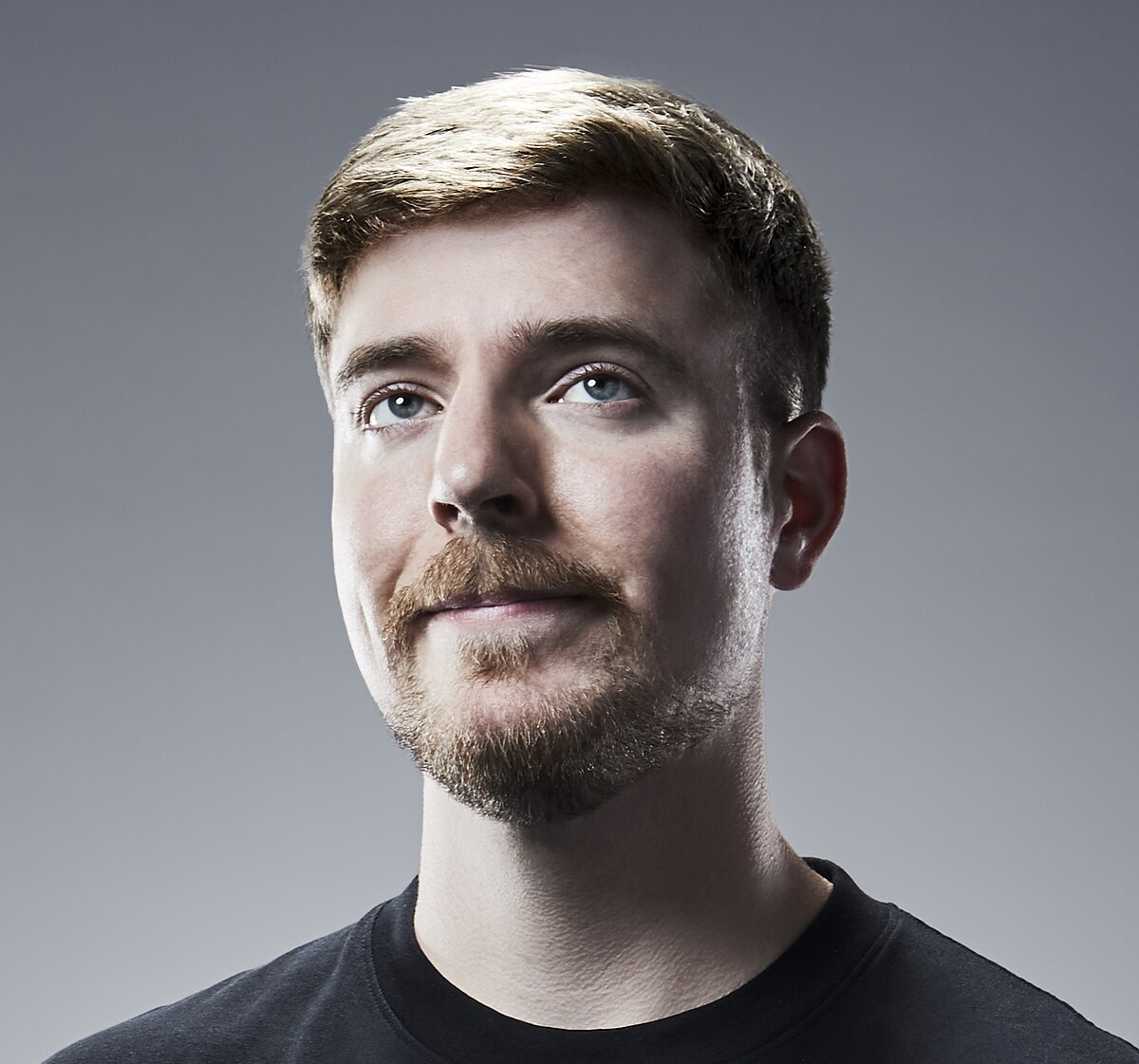 Mr. Beast AI logo