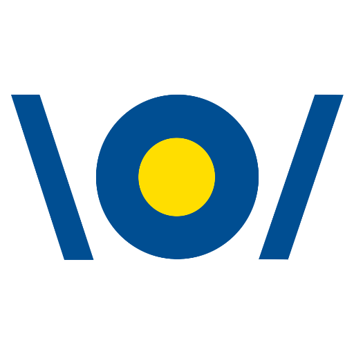 Videonomist logo